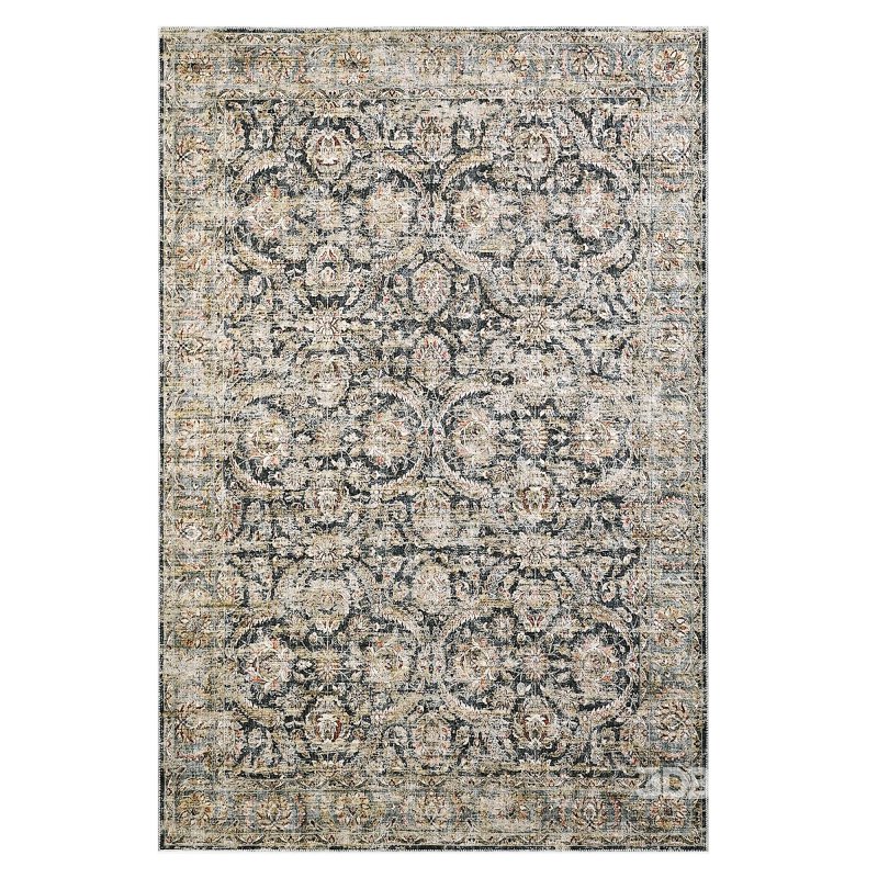 Washable Rug Image 2