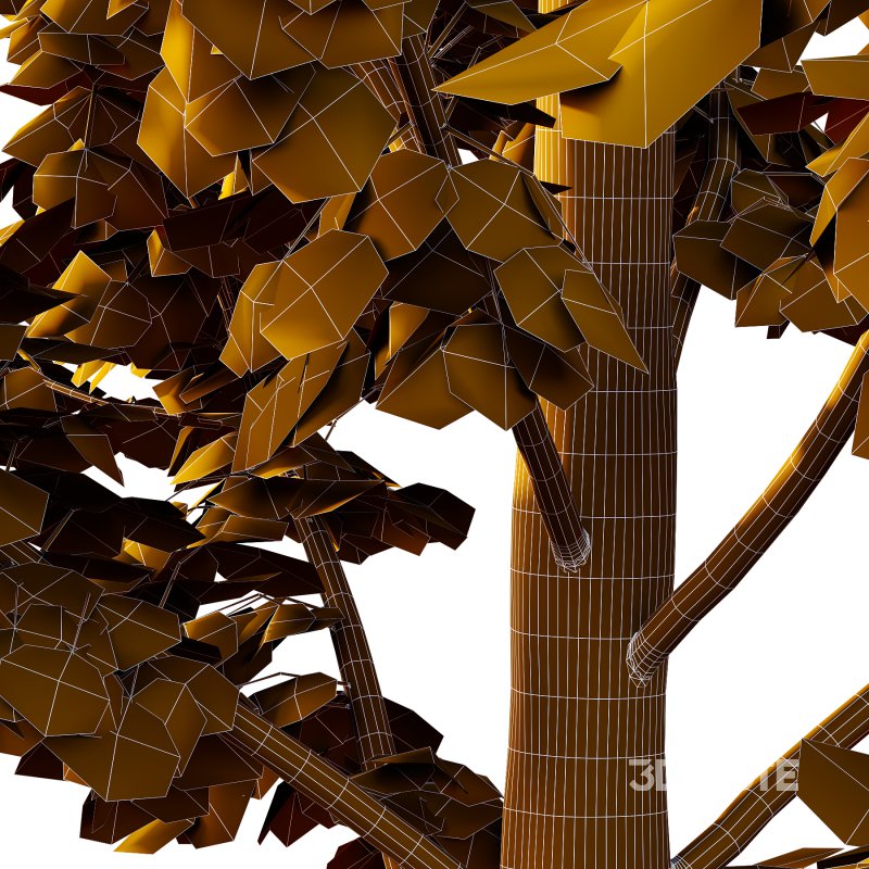 Acer Pseudoplatanus Tree 04 Image 5