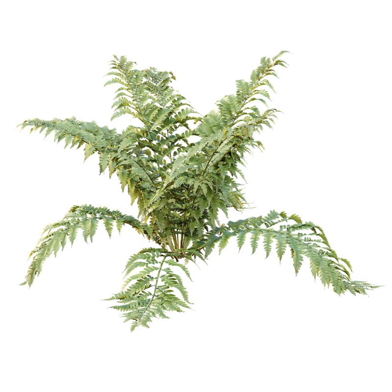 ntal form with architectural realism, ideal for photorealistic renders and naturalistic environments. Image 2