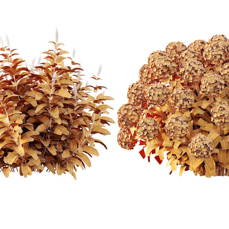 ntal richness. The Rhododendrons burst with densely packed floral spheres in rich pink, purple, and blue tones, while the Crape Ginger displays upward-pointing crimson buds atop lush, lance-shaped foliage. Image 11