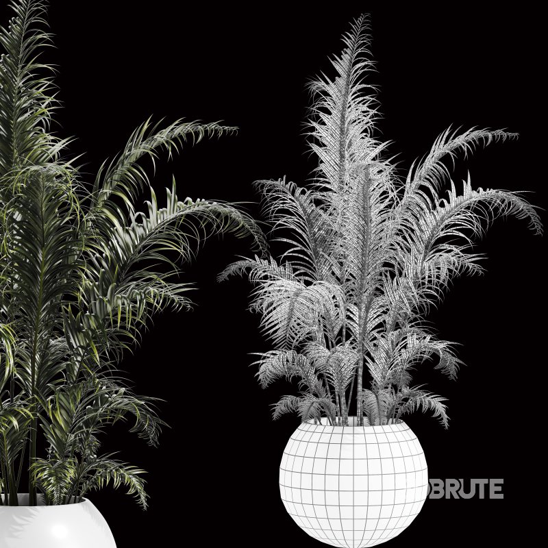 Indoor Plant Set 003 Image 3