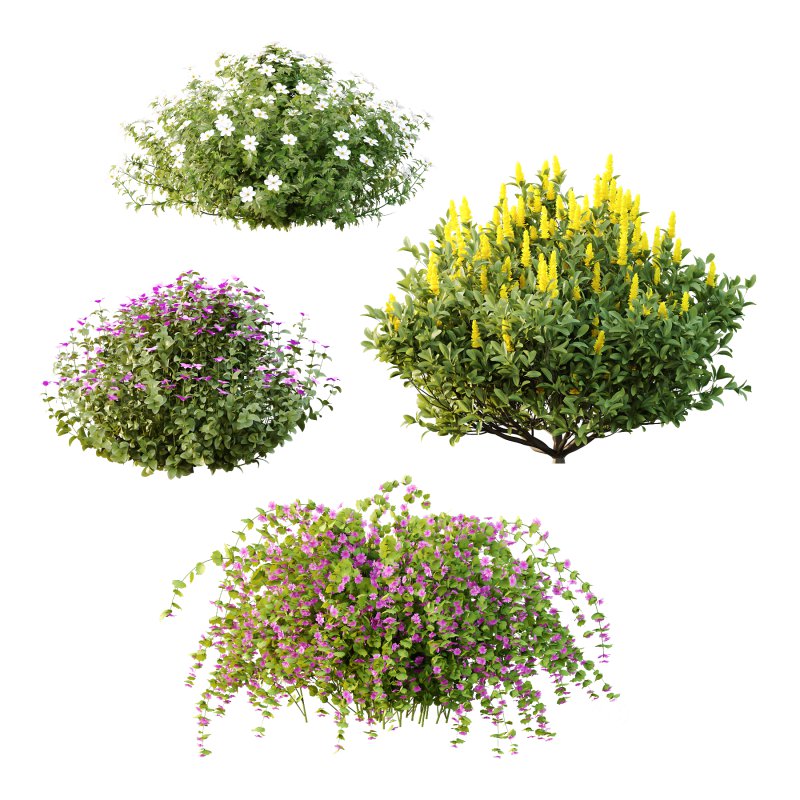 Different bush 18 Image 4