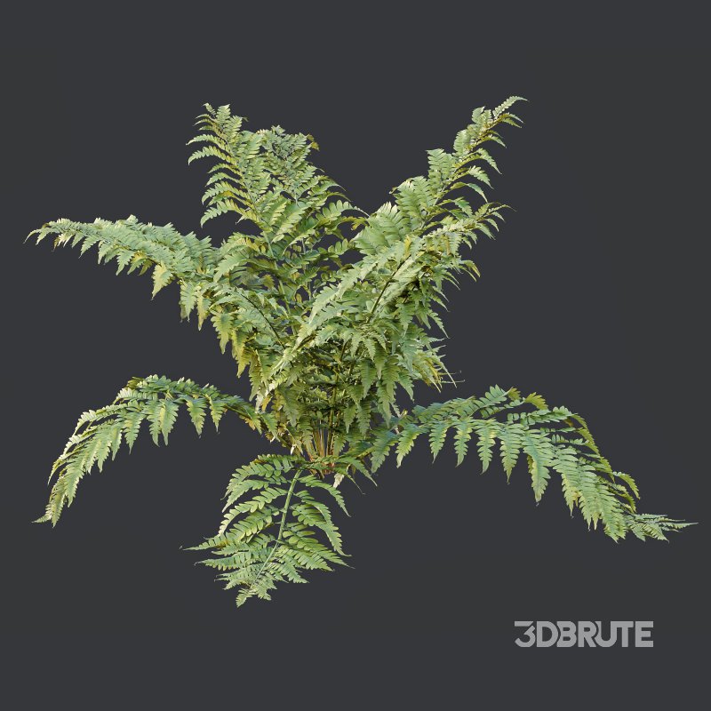 ntal form with architectural realism, ideal for photorealistic renders and naturalistic environments. Image 5