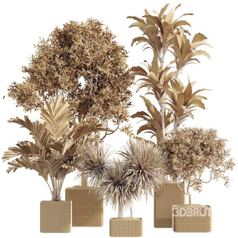 AV Indoor Plants Set 239 Mission Chemlali Olive Spineless Palm Lemon Cane Paradise Image 5