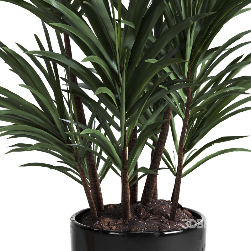 indoor plant 019 Image 3