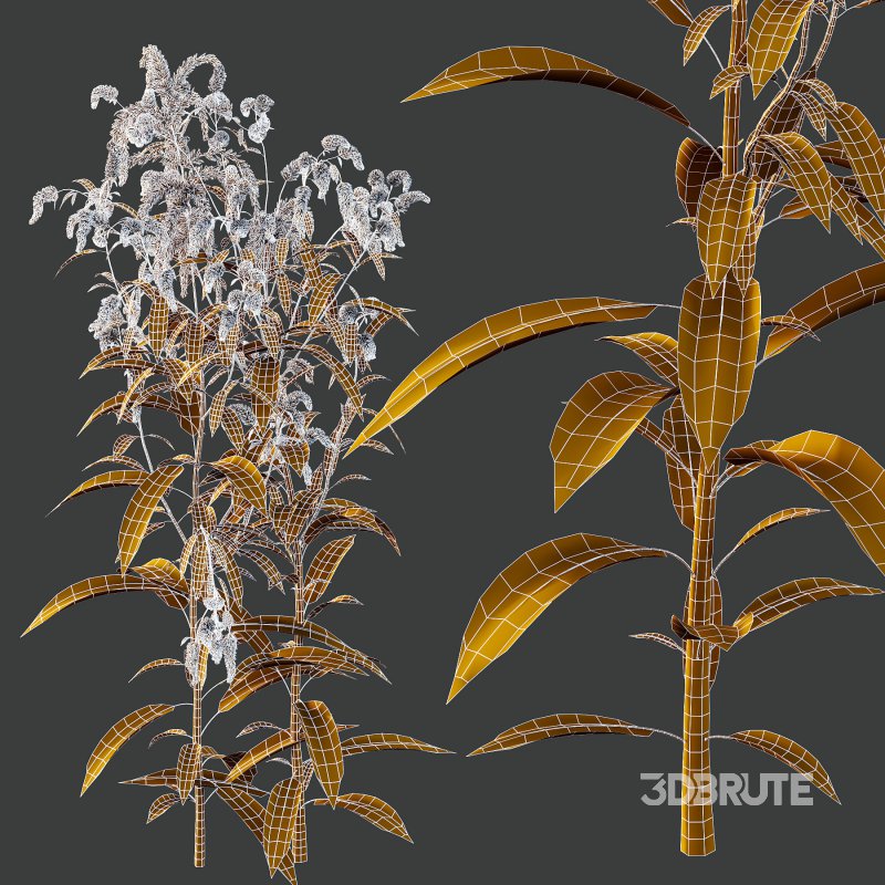 5 Different Model Image 4