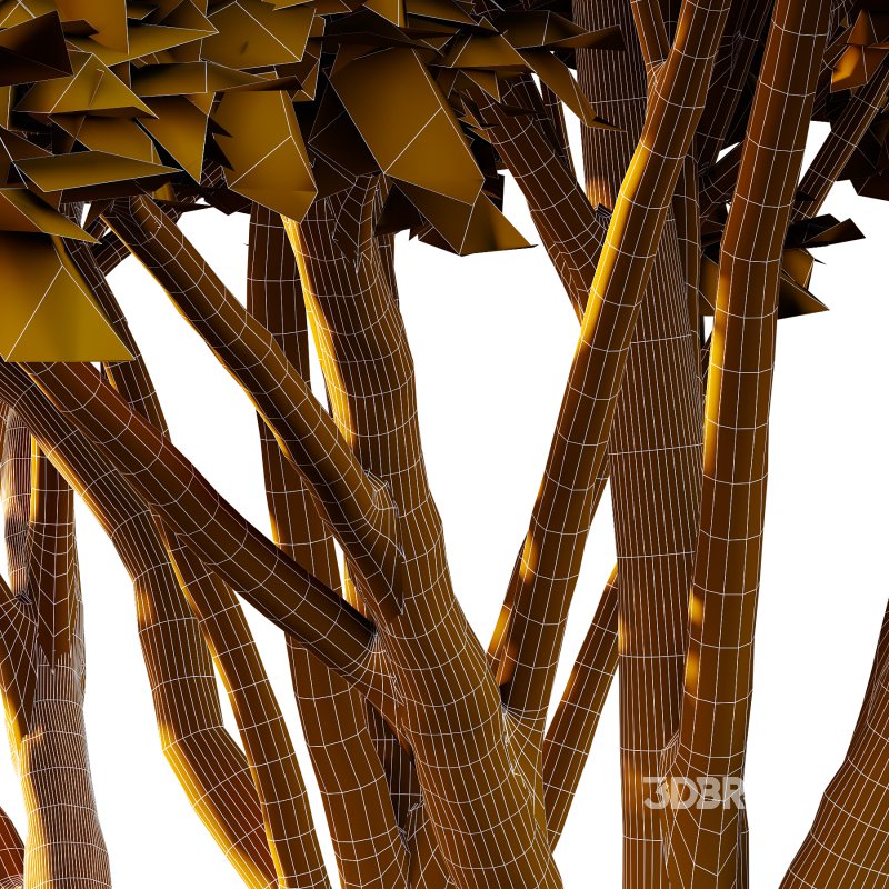 Acer Pseudoplatanus Tree 09 Image 3