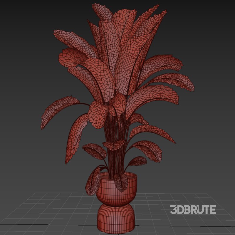 Indoor plant 012 Image 5