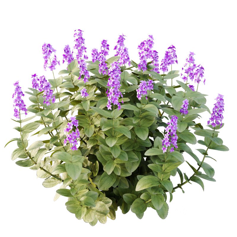 Different bush 15 Image 7