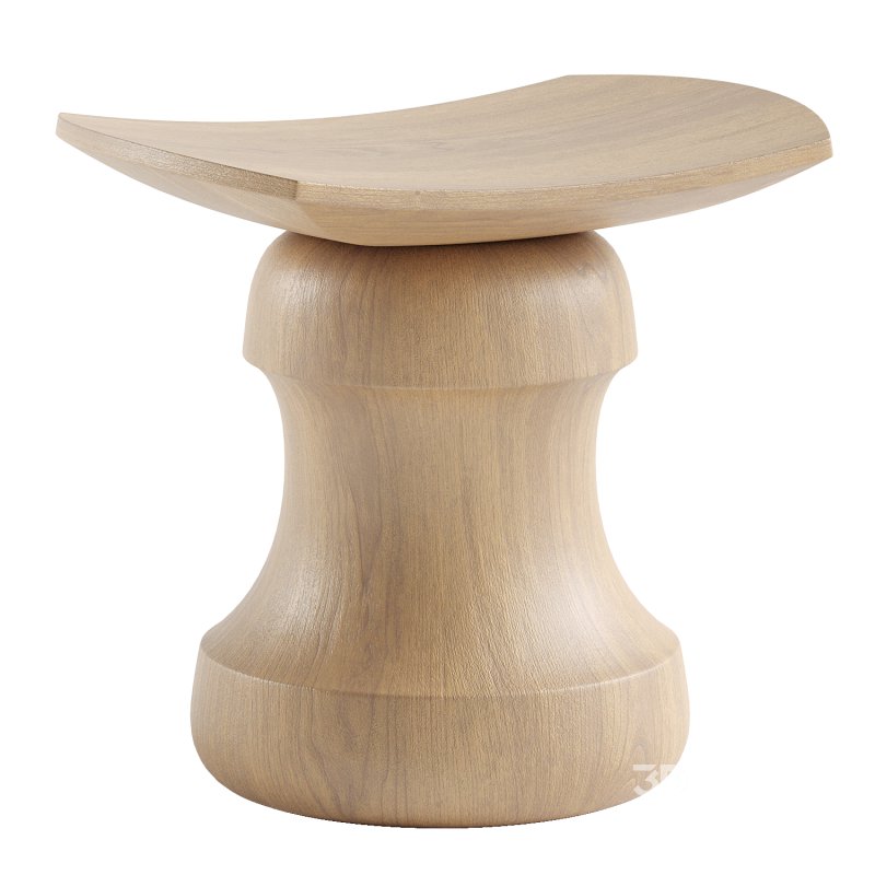 ROI Stool Image 2