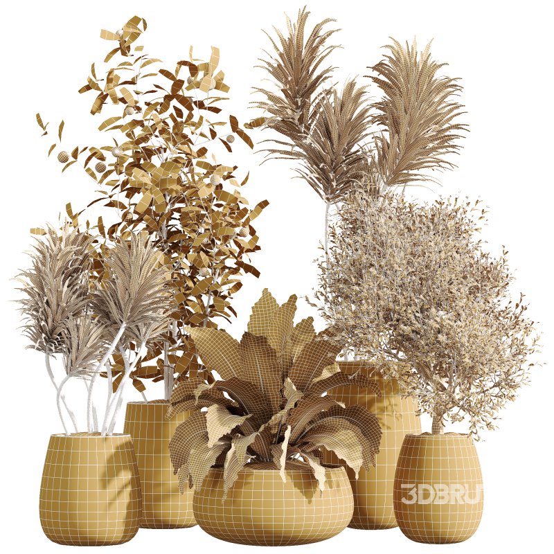 AV Indoor Plants Set 240 China Orange Tree and Spineless Palm and Peace Lily and Mission Olive Image 5