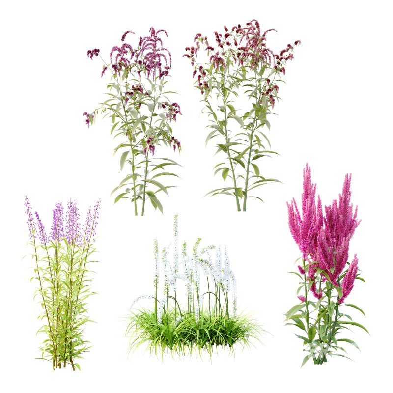 5 Different Model Image 3