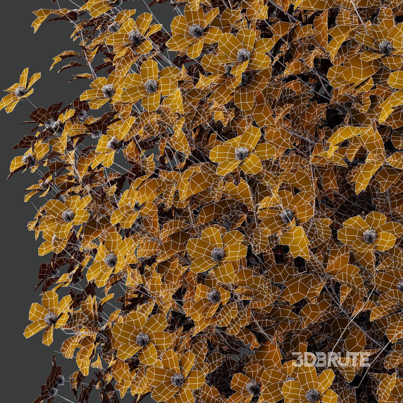 Different bush 15 Image 2