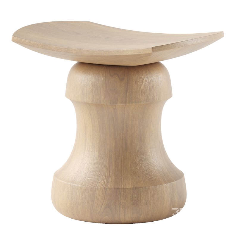 ROI Stool Image 3