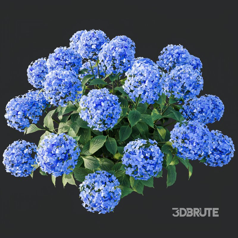 ntal richness. The Rhododendrons burst with densely packed floral spheres in rich pink, purple, and blue tones, while the Crape Ginger displays upward-pointing crimson buds atop lush, lance-shaped foliage. Image 10