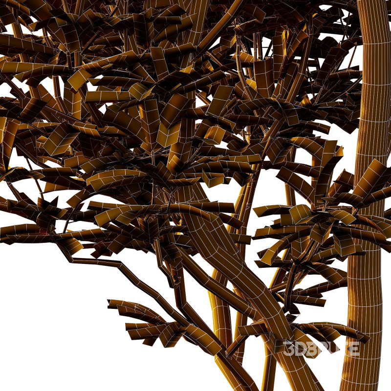 Different Trees 03 Image 5