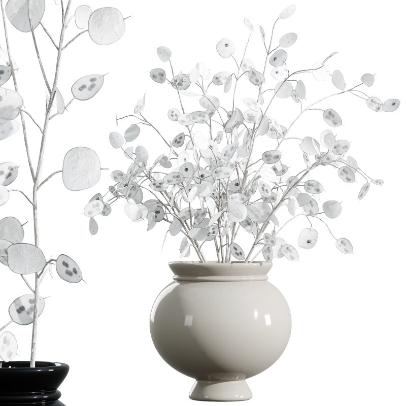 “Money Plant.” Image 2