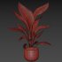 Indoor plant 016 - Thumbnail 4