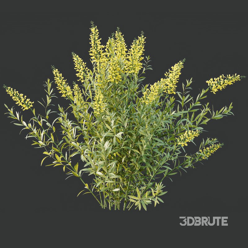 ntal form with architectural realism, ideal for photorealistic renders and naturalistic environments. Image 7