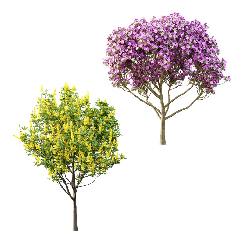 Different Trees 03 Image 3