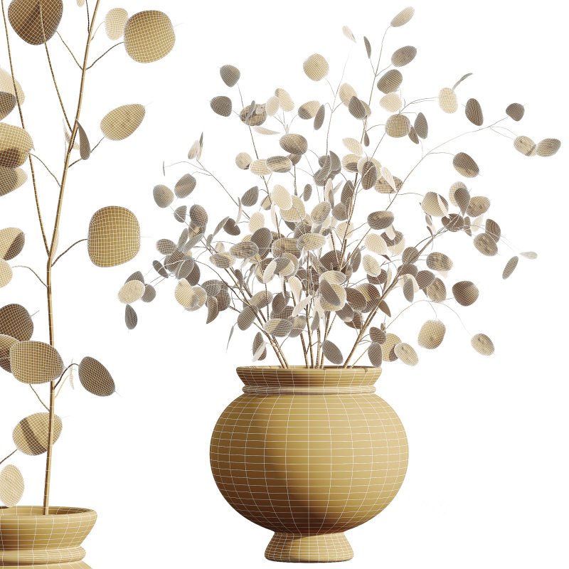 “Money Plant.” Image 3