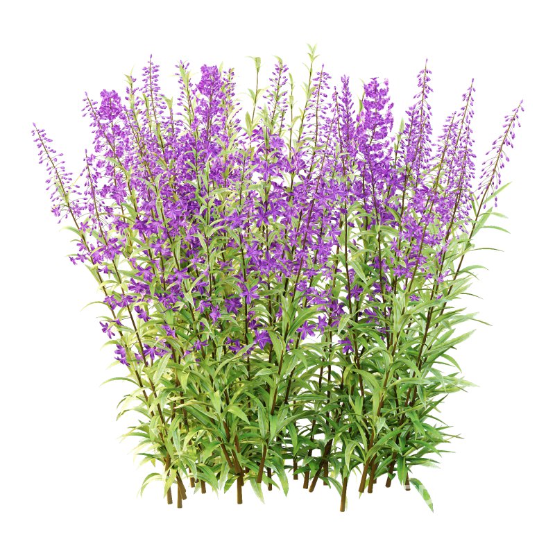 5 Different Model Image 6