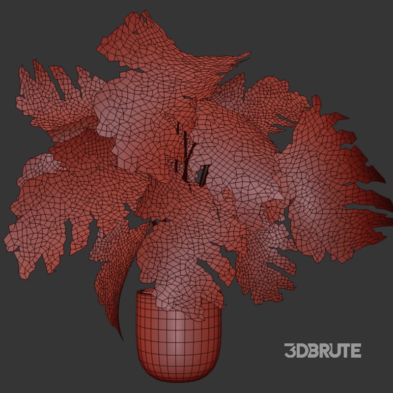 Indoor plant 014 Image 4