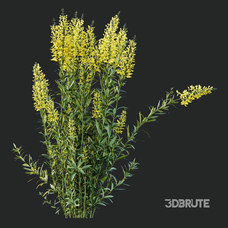 ntal form with architectural realism, ideal for photorealistic renders and naturalistic environments. Image 11