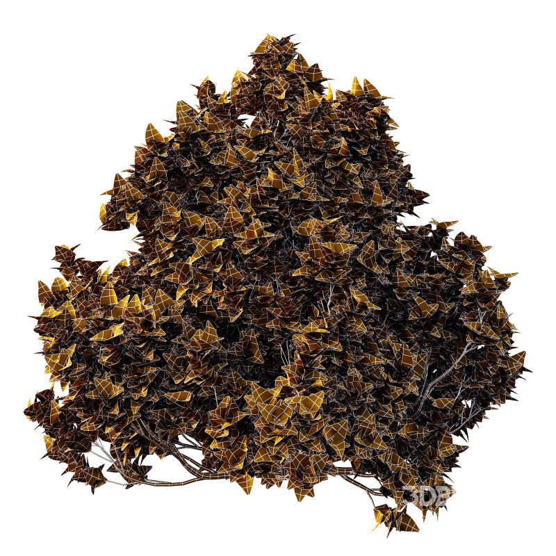 Different bush 26 Image 6