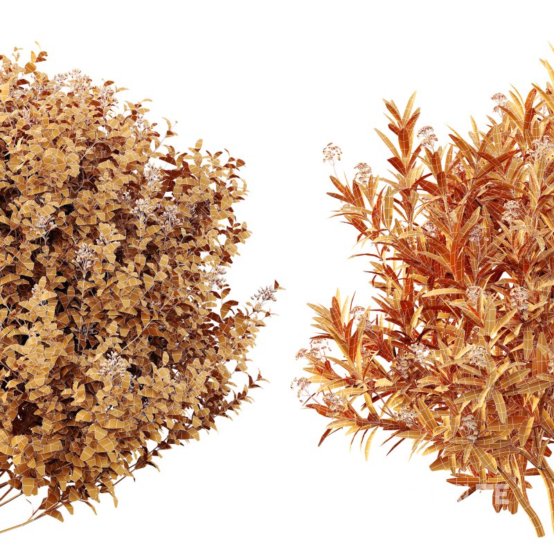 ntal bushes are ideal for Mediterranean-style gardens, urban landscaping, or natural architectural visualizations. Image 5