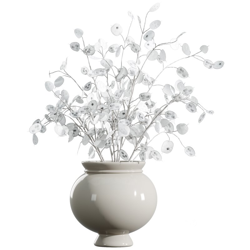 “Money Plant.” Image 1