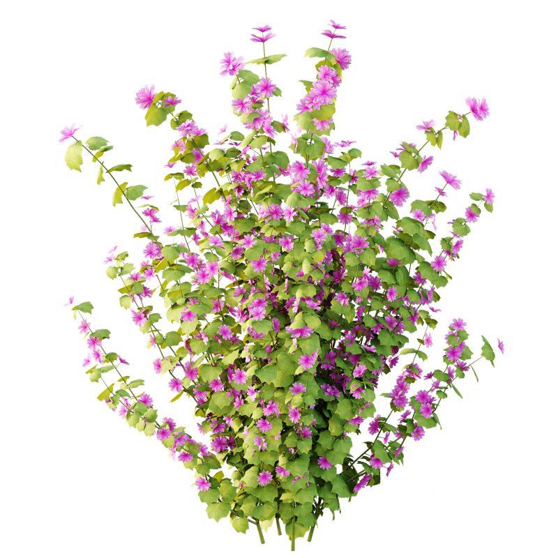 Different bush 17 Image 3