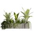 Indoor plants- Hanging Plants in Box- set177 - Thumbnail 1