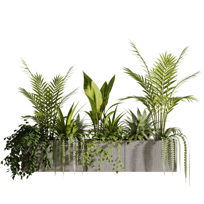 Indoor plants- Hanging Plants in Box- set177 Image 1