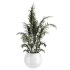Indoor Plant Set 003 - Thumbnail 4