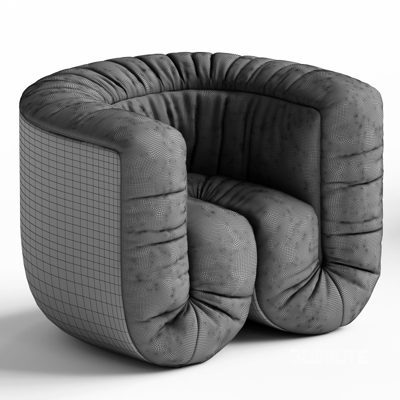 de Sede Ds 707 Armchair Image 3