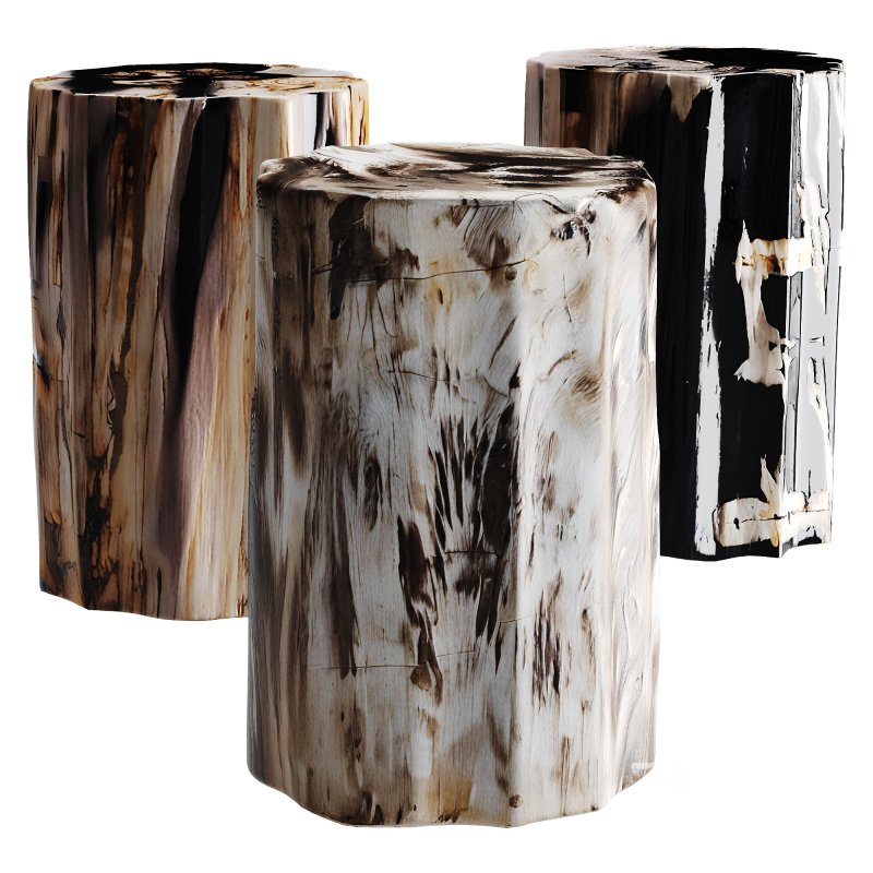 Petrified Wood Side Table Image 3