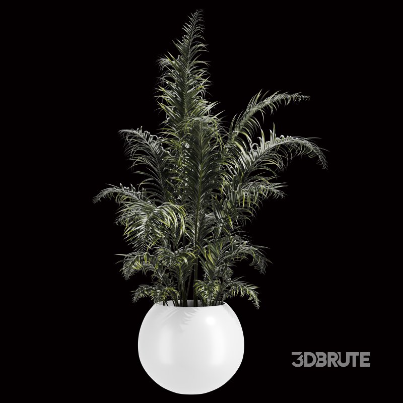 Indoor Plant Set 003 Image 5