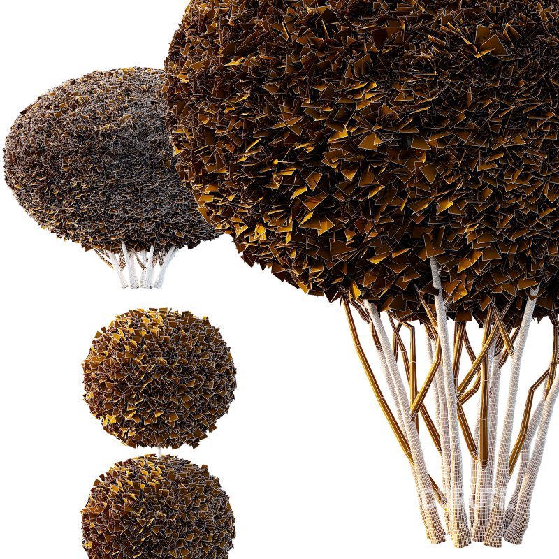 Pinus Mugo Bush003 Image 4