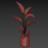 indoor plant 032 - Thumbnail 4