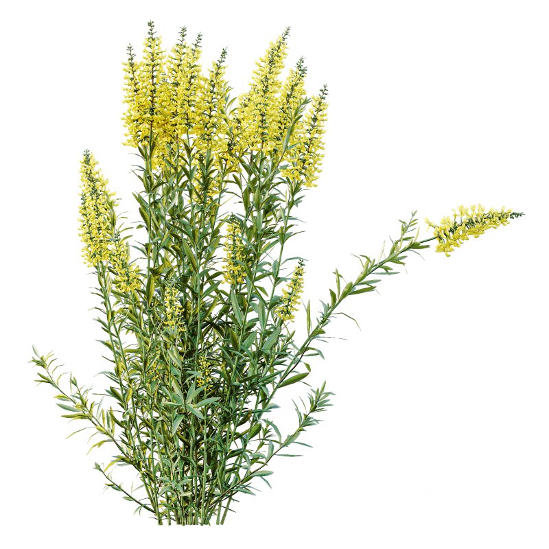 ntal form with architectural realism, ideal for photorealistic renders and naturalistic environments. Image 3