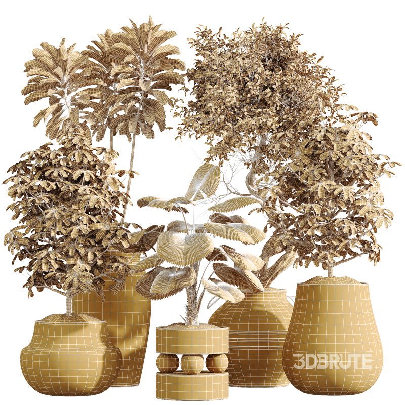 ntal delicacy. Image 7