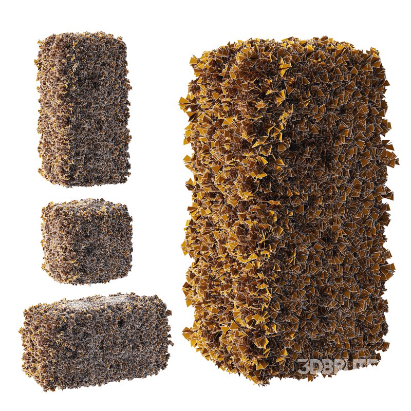 Pinus Mugo Bush002 Image 5