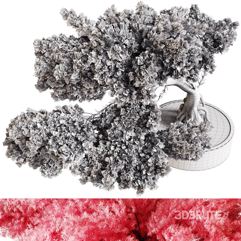 Indoor plants 76 – Plant in pot Image 1