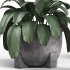 Indoor plant set with plant tree concrete dirt vase 02 - Thumbnail 1