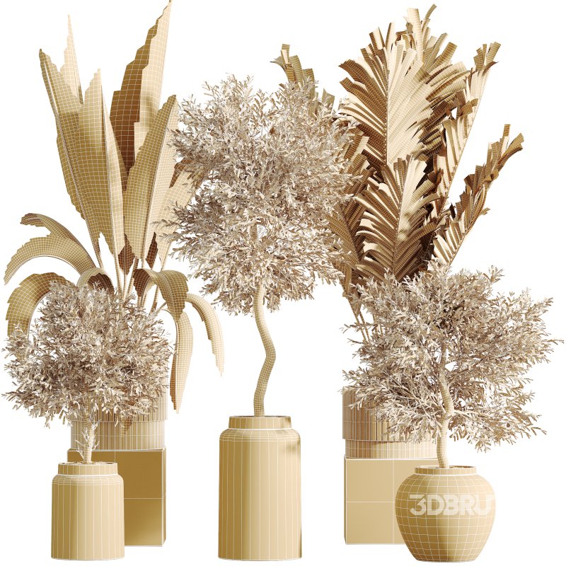 AV Indoor Plants Set 276 Olive Elegant Mission and Banana Strelitzia Nicolai and Areca Palm Image 8