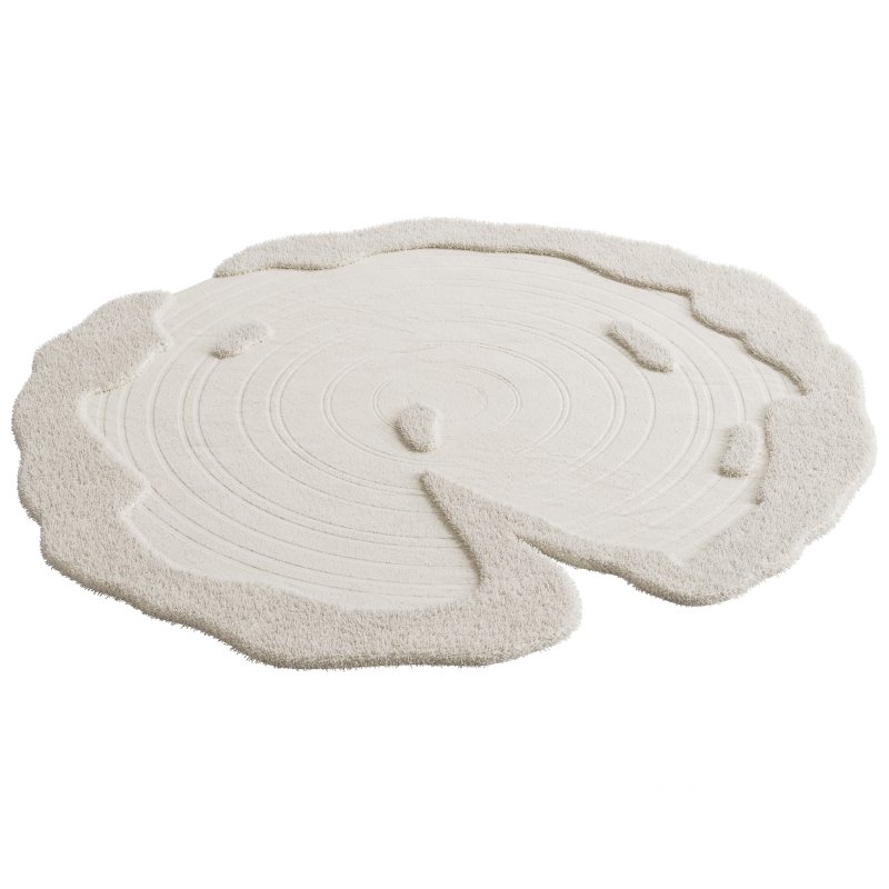 Round carpet Image 3