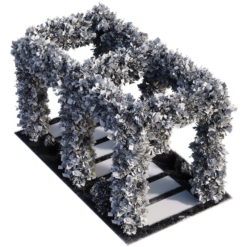 OutDoor plants – 4 Pergola plants set Image 1