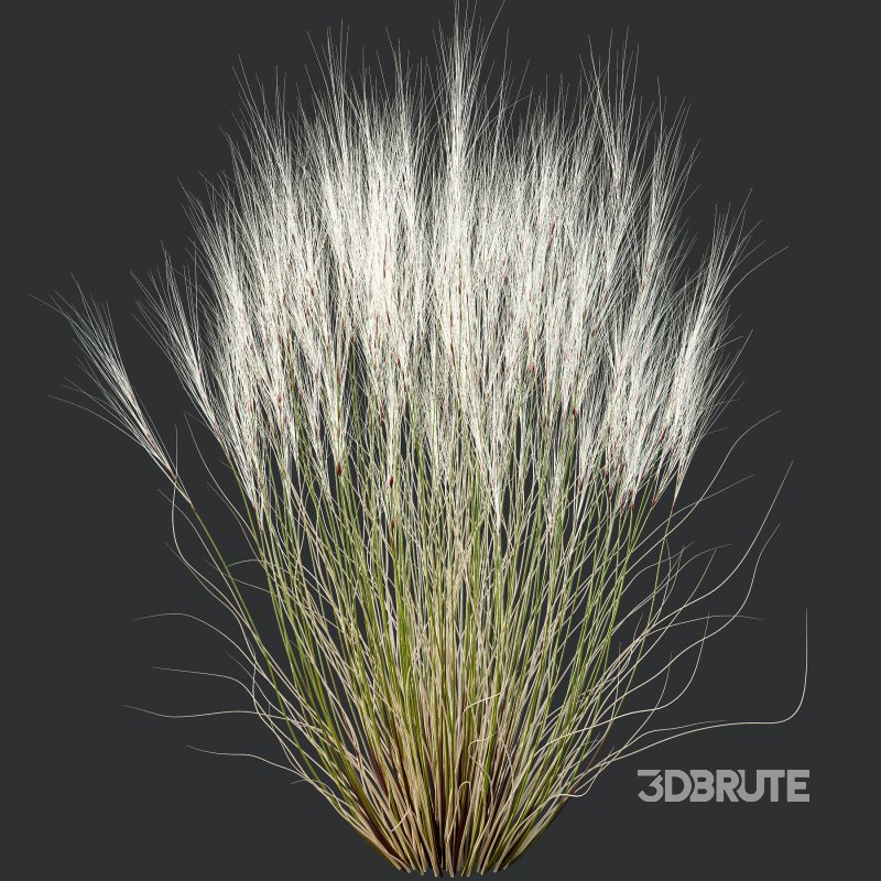 ntal grasses that elevate any exterior or landscape visualization with their delicate motion and architectural grace. This set features two species renowned for their feather-like texture and dynamic forms: Image 4