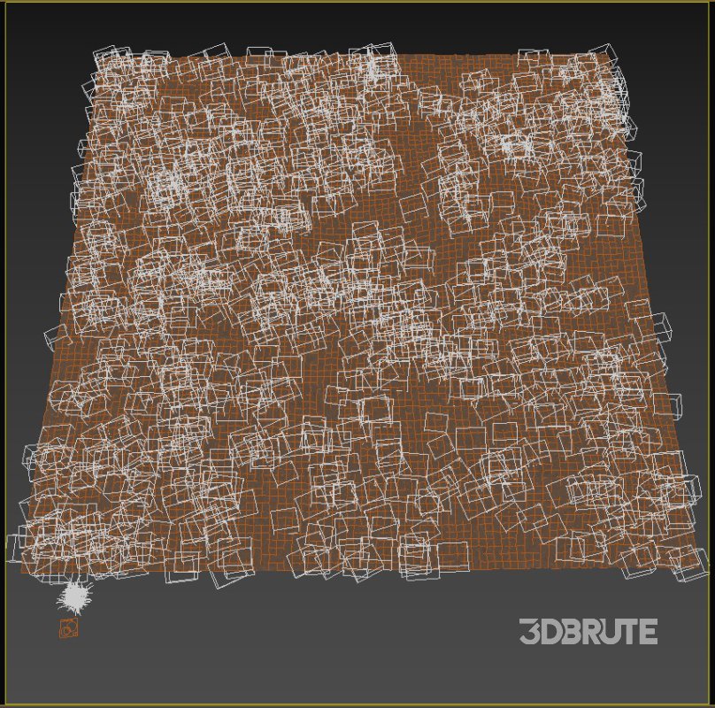 meadow (autumn) Image 4